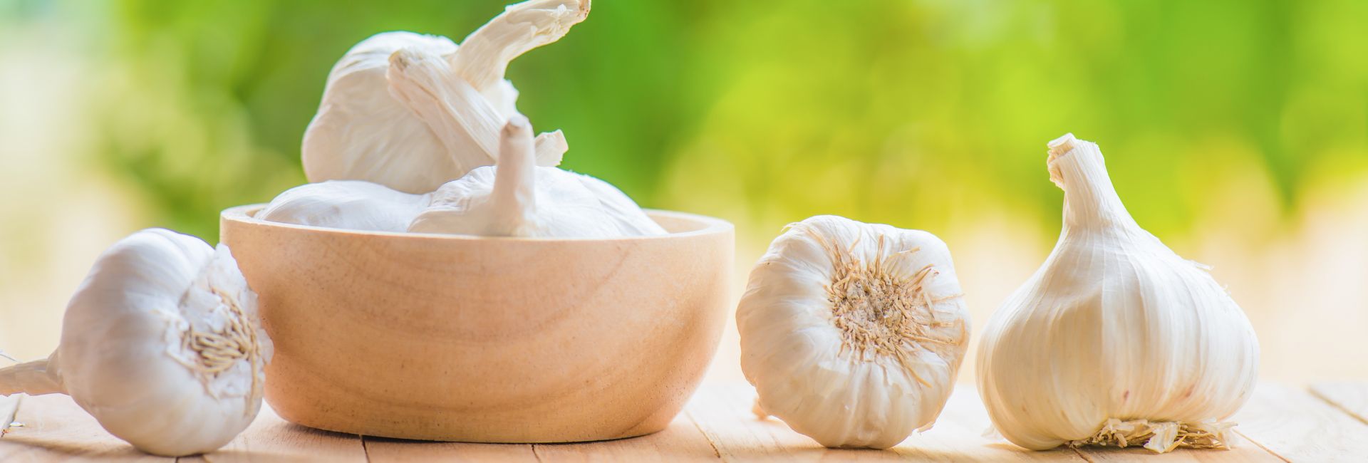 Fall Garlic Banner